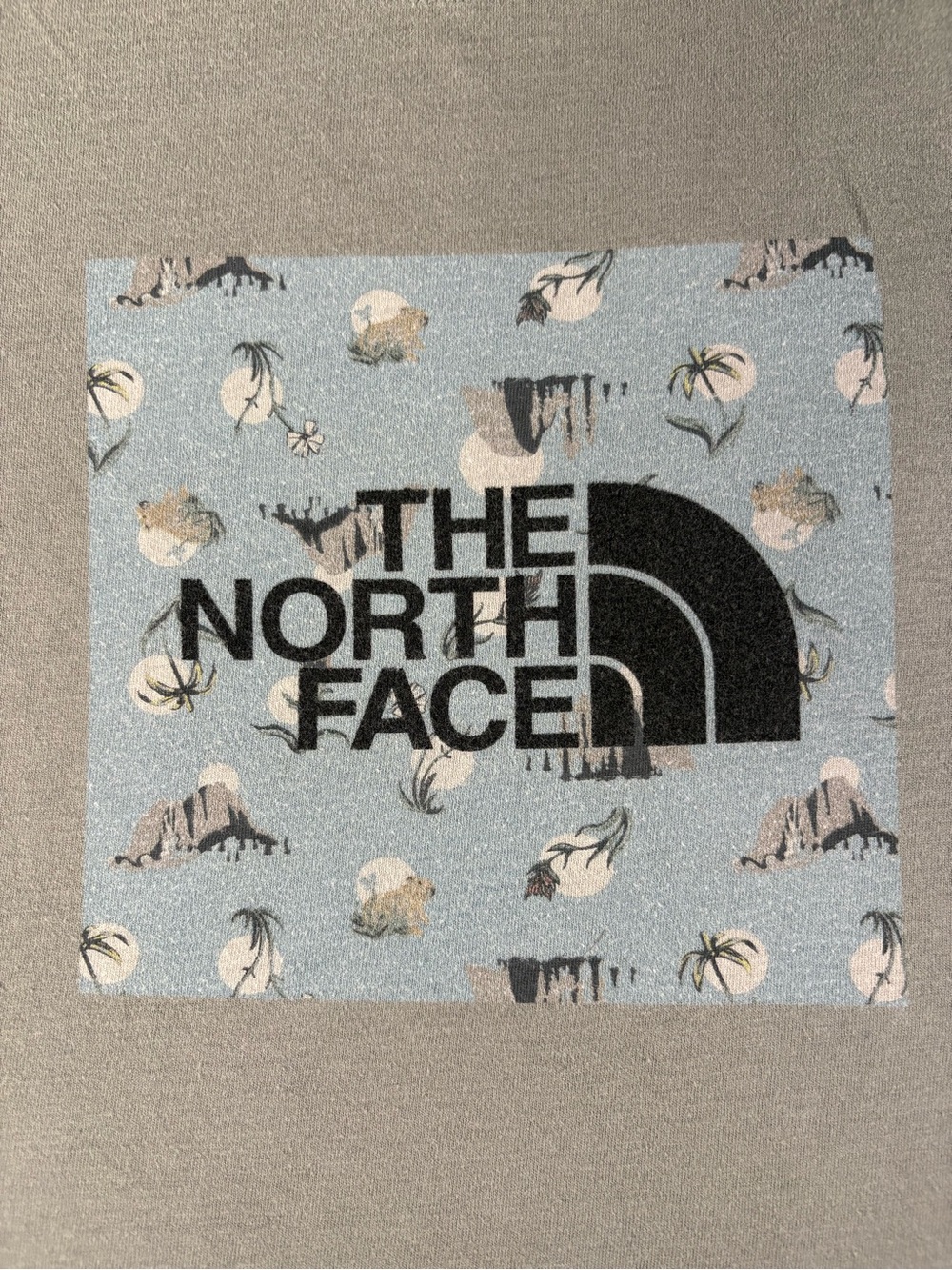 The North Face Men's Light Gray Tee with Blue Logo Patch - Picture 2 of 5